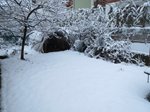 neve-16-gennaio-022.jpg