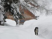 campiglio-rifugio-nambino-205