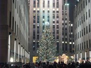 new-york-1-dicembre-186