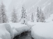 campiglio-rifugio-nambino-239