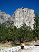 13-ottobre-mono-lake-yosemite-177