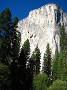 13-ottobre-mono-lake-yosemite-215