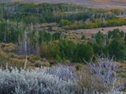 12-ottobre-carson-city--bodie-mono-lake-398