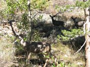 13-ottobre-mono-lake-yosemite-065