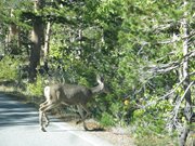 13-ottobre-mono-lake-yosemite-058