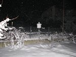 010109-neve1.jpg