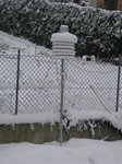 010109-neve2.jpg