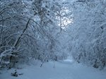 010109-neve5.jpg