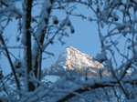 010109-neve6.jpg