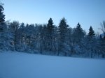 010109-neve8.jpg