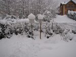 041210neve2.jpg