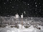 031210neve2.jpg