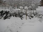 061210neve-(1).jpg