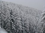 261210neve4.jpg