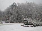 neve-2-febbraio-2013-017.jpg