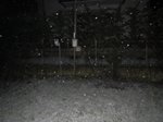 seefeld-e-neve-levico-27-gennaio-063.jpg