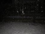 seefeld-e-neve-levico-27-gennaio-065-(800-x-600).jpg