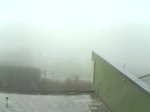 nebbia-levico-28-ottobre.jpg