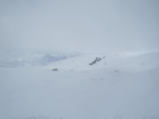 pale-san-martino-15-feb-14-067