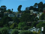 14-ottobre-Point-Reyes-San-Francisco-190