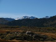 12-ottobre-carson-city--bodie-mono-lake-157