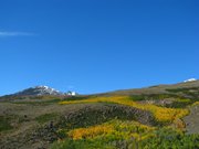 13-ottobre-mono-lake-yosemite-087